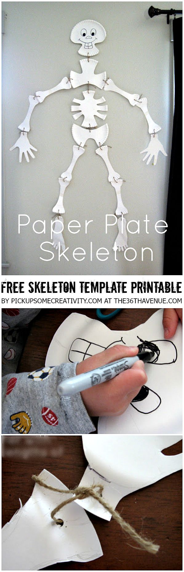 Halloween Crafts - Paper Plate Skeleton and Free Skeleton Template Printable at the36thavenue.com 