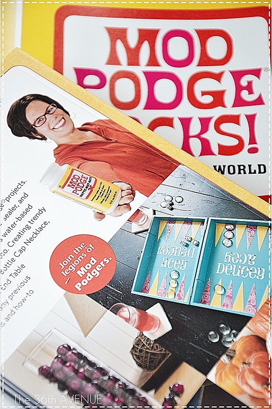 Book Review: Mod Podge Rocks by Amy Anderson