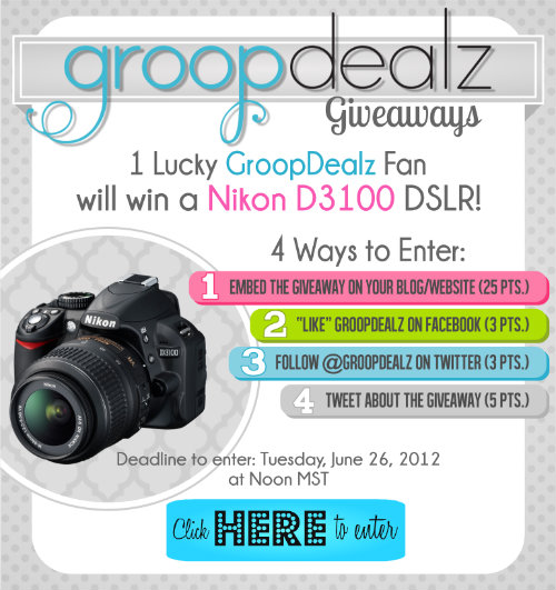 Nikon D3100 Giveaway