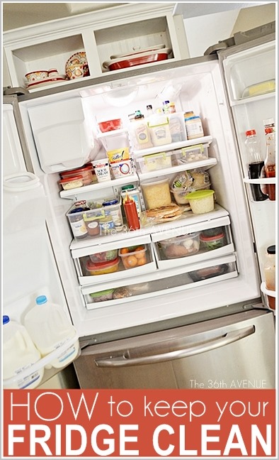 How to clean and keep your fridge CLEAN. the36thavenue.com