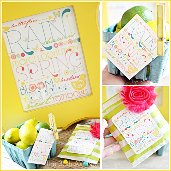 Free Spring Printable Download over at the36thavenue.com Happy Spring!
