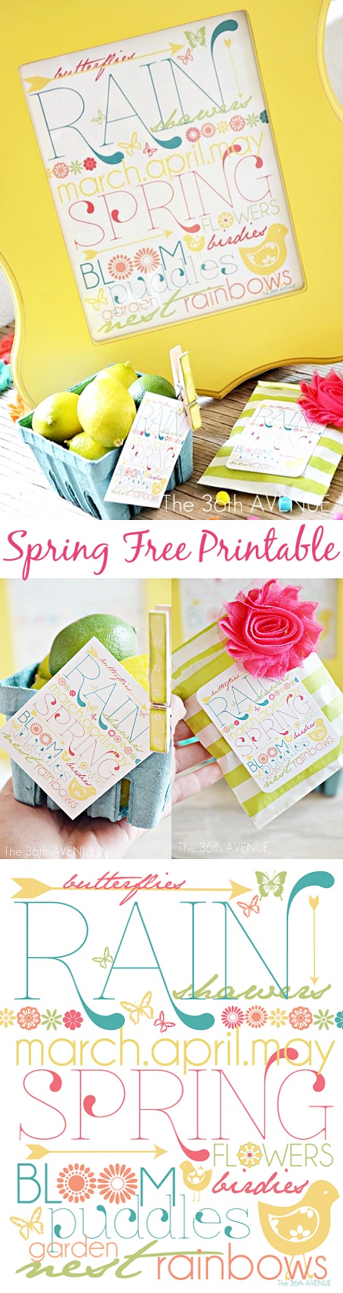 Free Spring Printable Download over at the36thavenue.com Happy Spring!