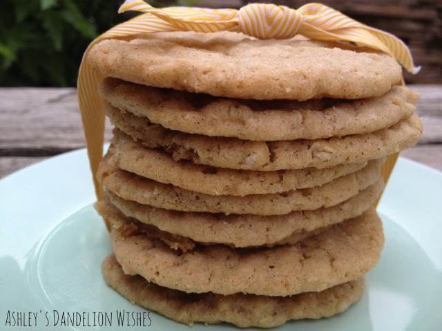 Oatmeal_Snickerdoodles_1