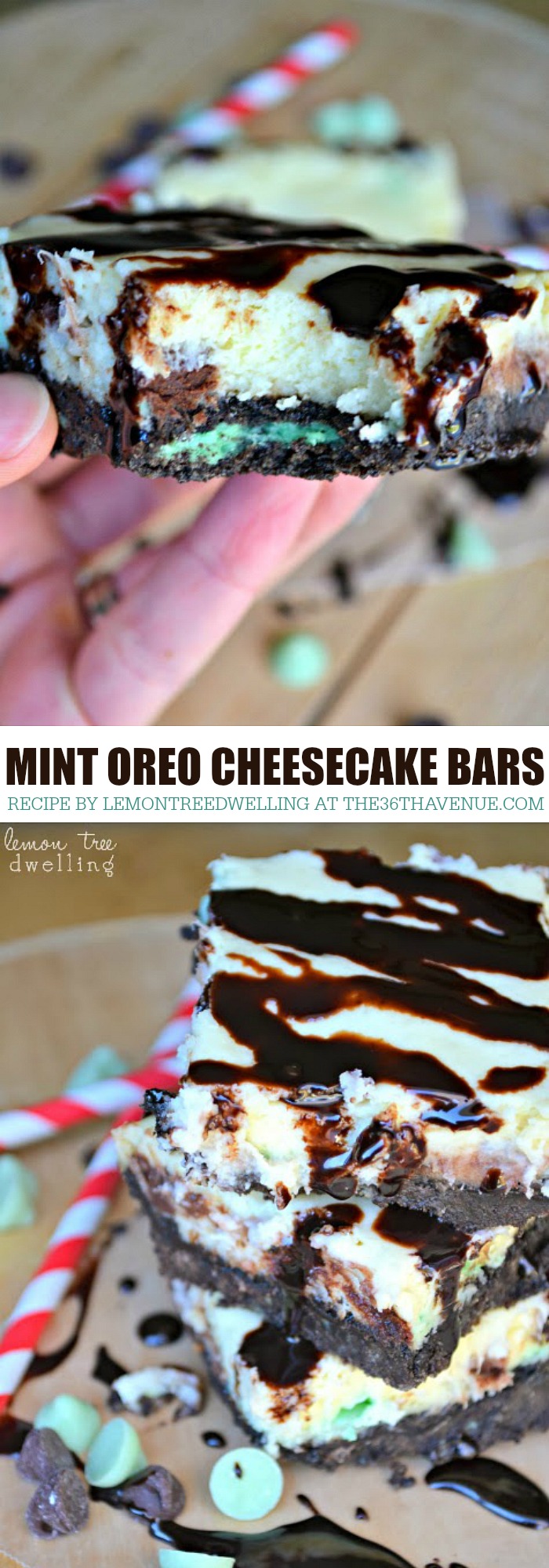 Easy Recipe - These Mint Oreo Cheesecake Bars are DELICIOUS! When it comes to baking, you can't go wrong with chocolate and mint! These bars make the perfect neighbor Christmas Gifts! PIN IT NOW and make them later! 