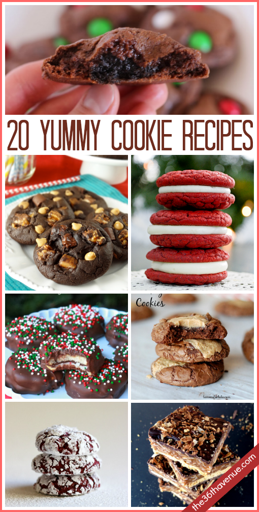 20 Delicious Cookie Recipes… Nothing like a homemade treat!  Pin it now and bake them later! #cookies #recipes 