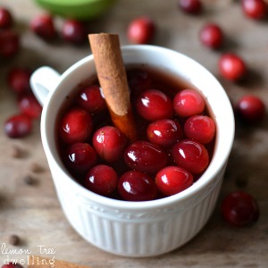 Slow Cooker Cranberry Apple Cider Recipe... Yum!