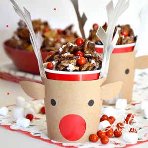 Christmas Recipe - Reindeer Food at the36thavenue.com