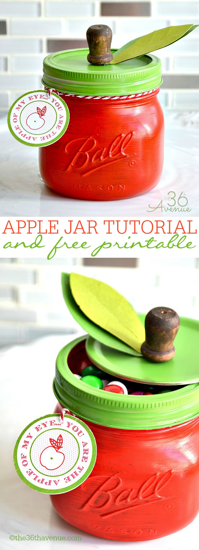 Gift Idea - DIY Apple Jar and Free Printable at the36thavenue.com 