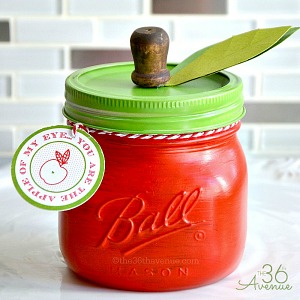 Gift Idea - DIY Apple Jar and Free Printable at the36thavenue.com