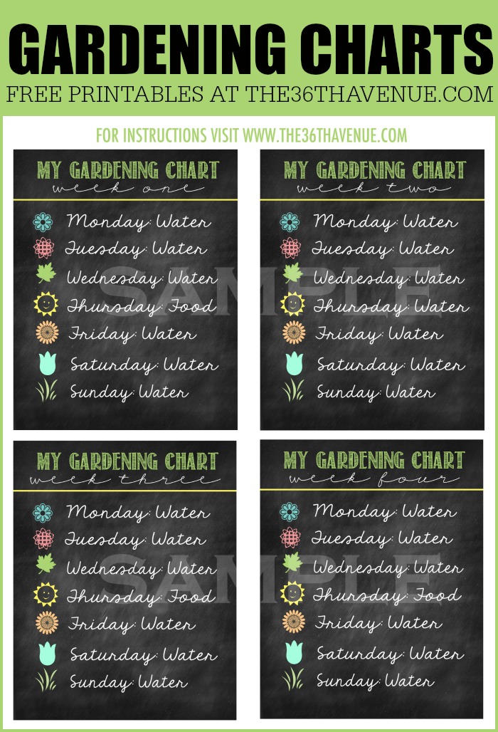 Gardening Tips - DIY Flower Hose and Gardening Chart at the36thavenue.com