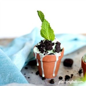 Dessert Recipes - Mini Mint Chocolate Chip Ice Cream Planters by lplaceofmytaste.com ...Pin it now and make them later!