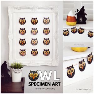 Halloween - Owl-Specimen Art and Free Printable from kikiandcompany ...Super cute!