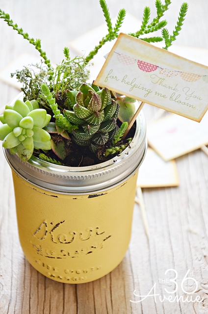 DIY Spring Projects - Mini Succulent Garden in a Jar. Adorable!