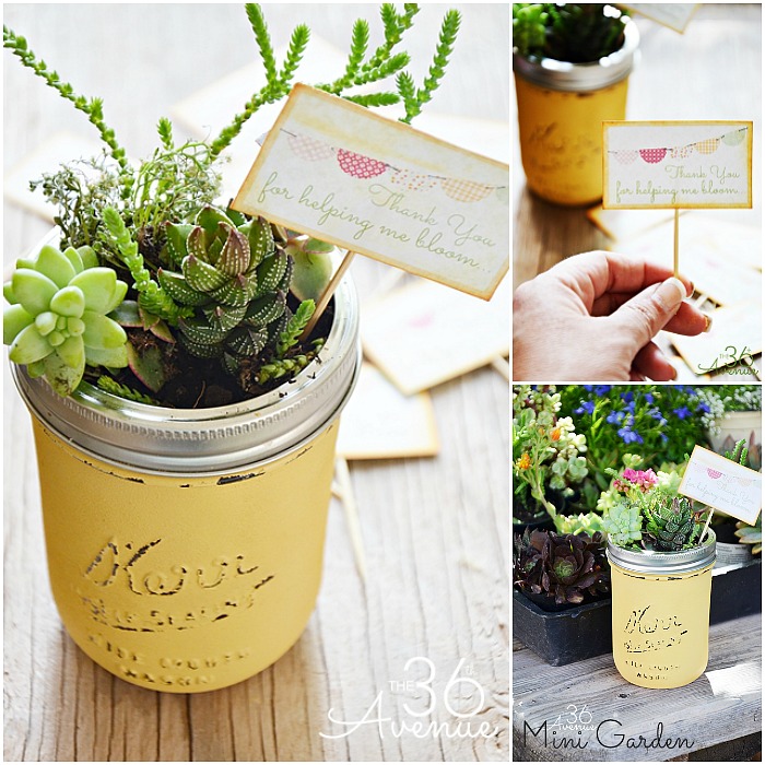 DIY Spring Projects - Mini Succulent Garden in a Jar. Adorable!