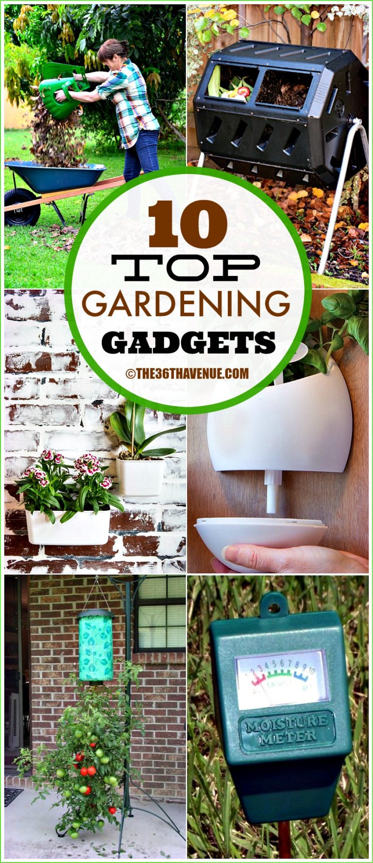 Gardening Hacks and Gadgets | The 36th AVENUE