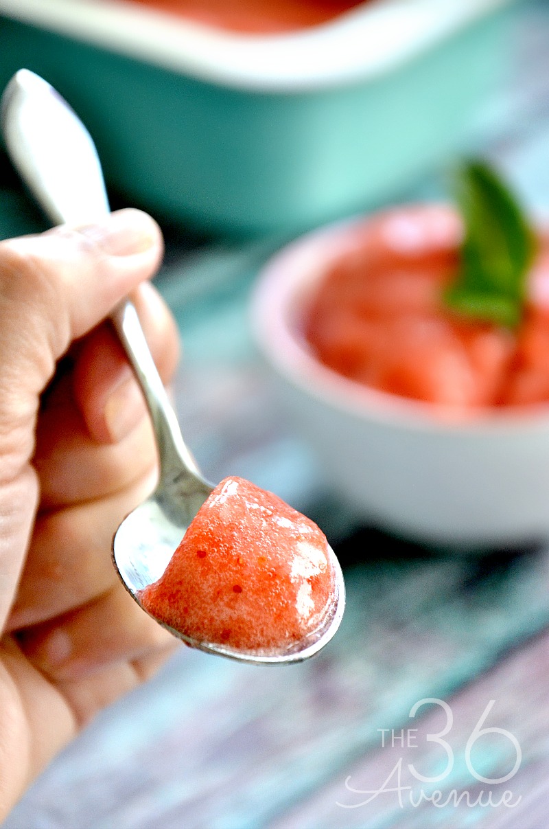 Delicious and easy Strawberry Sorbet Recipe. Just two ingredients and tons of flavor. This is the perfect dessert or cold summer snack. 