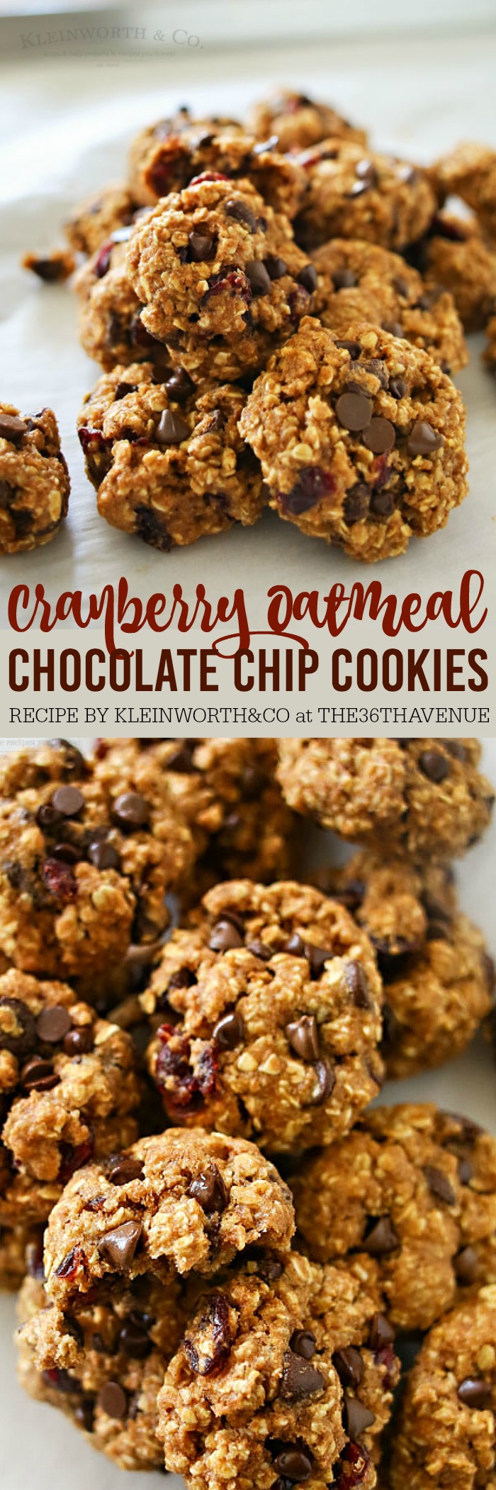 Cranberry Oatmeal Chocolate Chip Cookies the36thavenue.com
