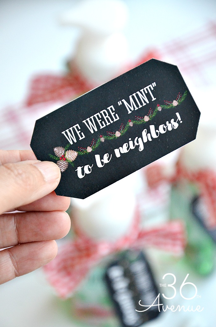 Christmas Gift Idea and Gift Tag Printable. Pin it now for later.