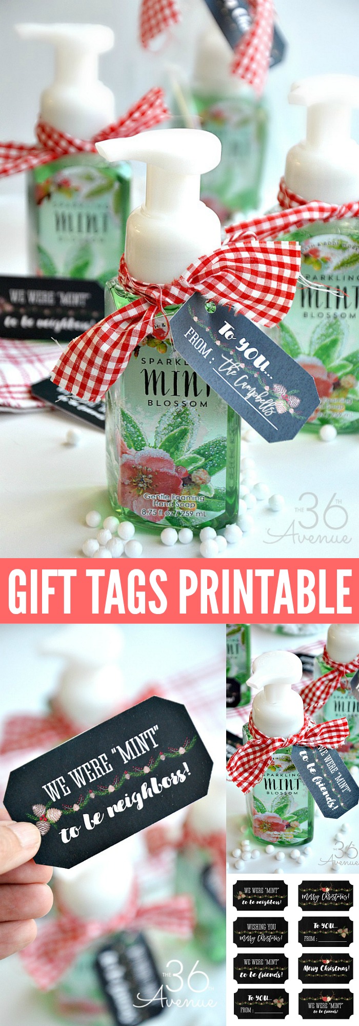Christmas Gift Idea and Gift Tag Printable. Pin it now for later.