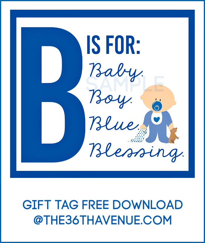 Baby Boy Blue Basket Gift Idea The 36th AVENUE